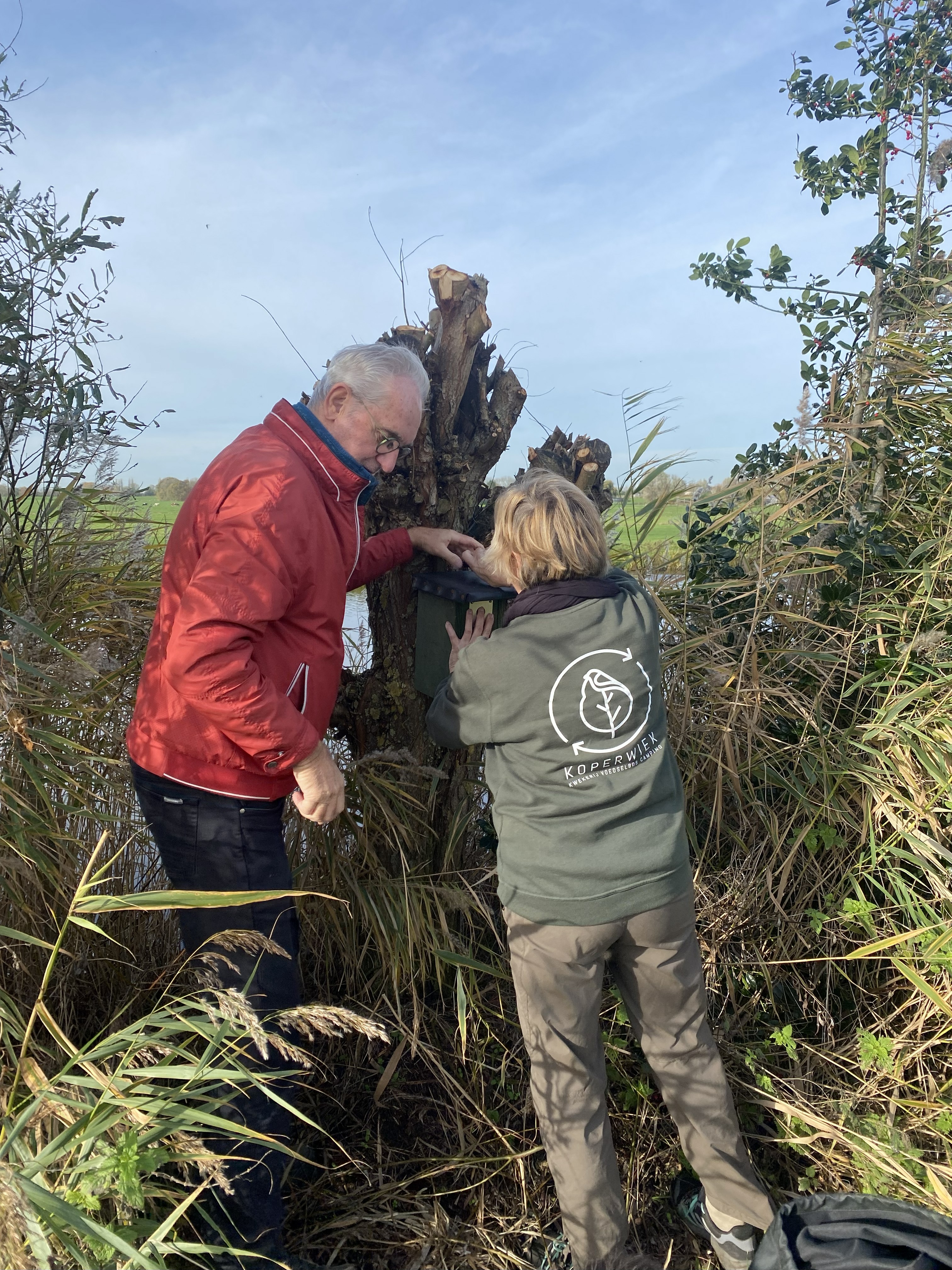 (Hazerswoude). Foto van Rob Eveleens.
Koperwiek vrijwilligers plaatsen de nestkasten